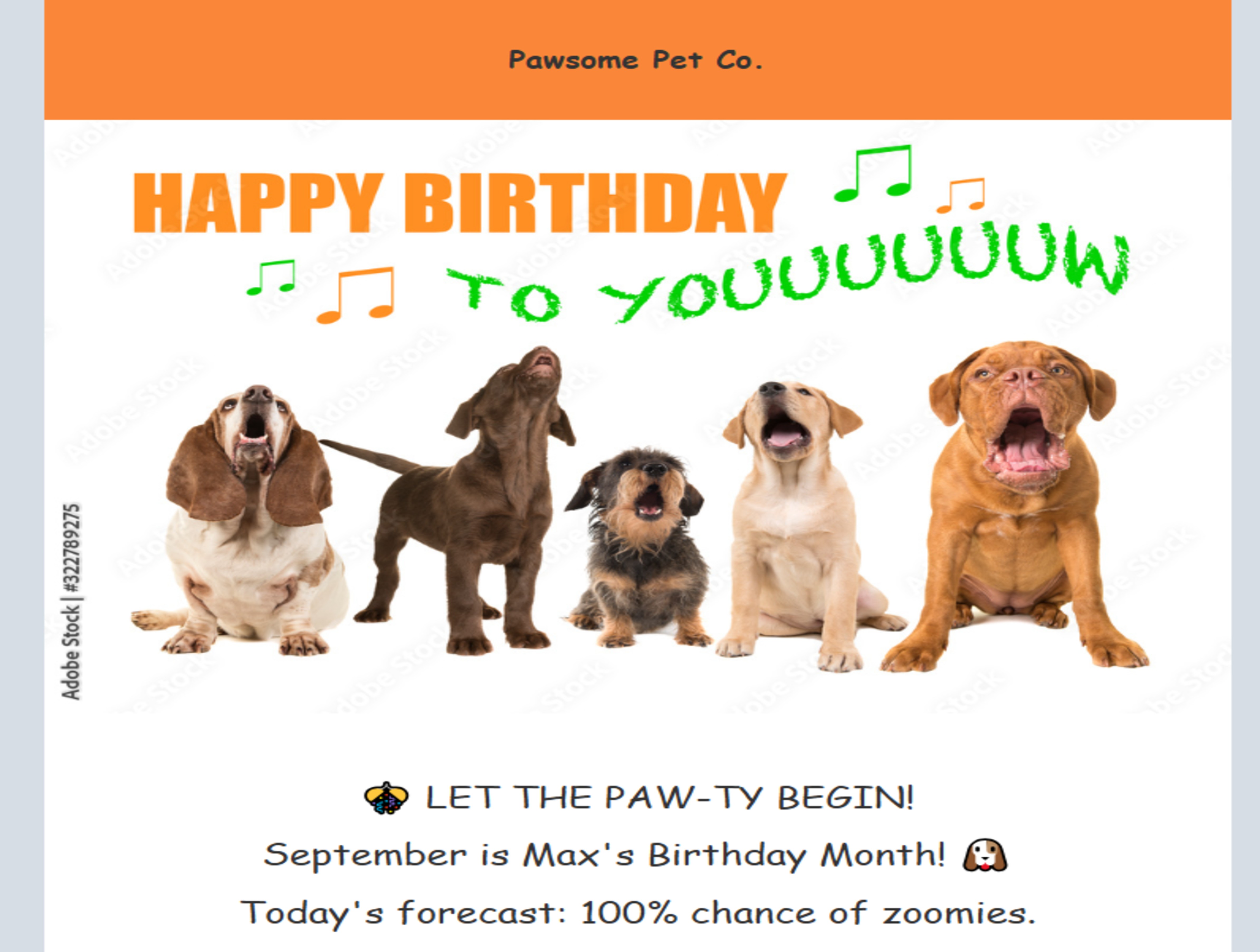 Pawsome Birthday Club